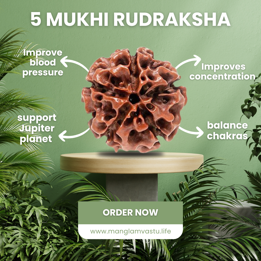5 Mukhi Rudraksh with silver pendant