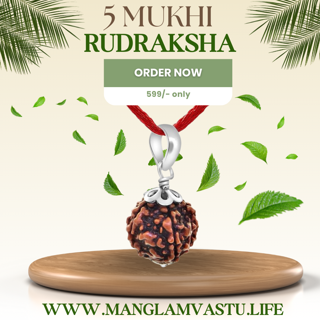 Aura Protection Power Combo with free Rudraksha