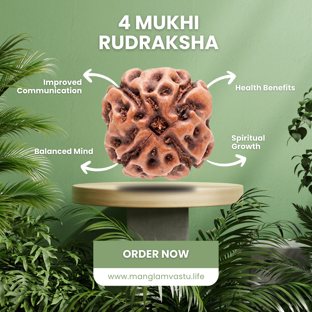 4 Mukhi Rudraksh