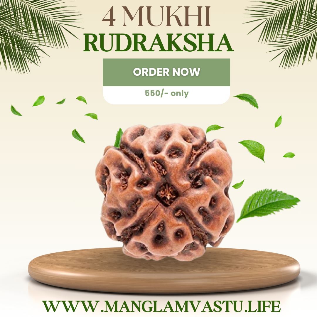 4 Mukhi Rudraksh