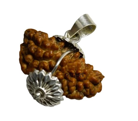 1 Mukhi Rudraksh