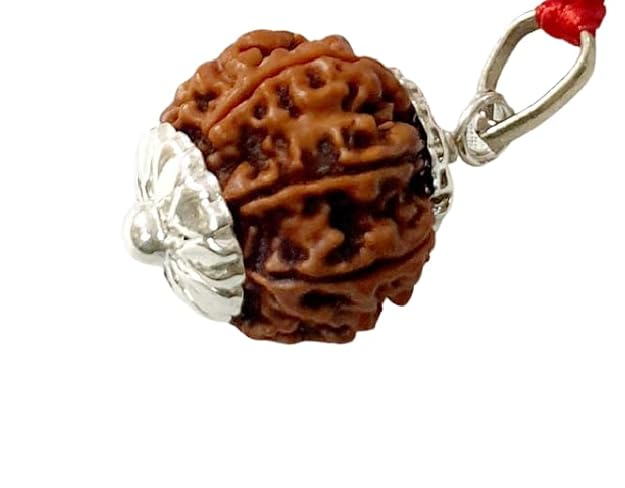 9 Mukhi Rudraksh