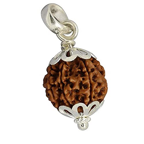 6 Mukhi Rudraksh