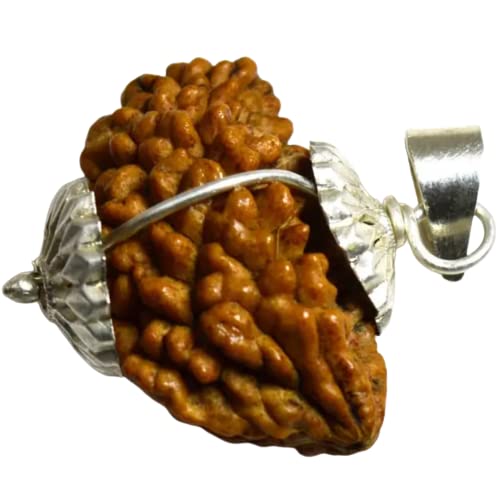 1 Mukhi Rudraksh