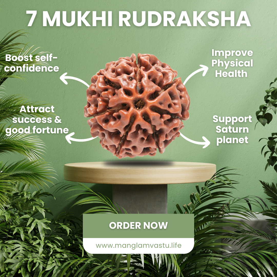 7 Mukhi Rudraksh