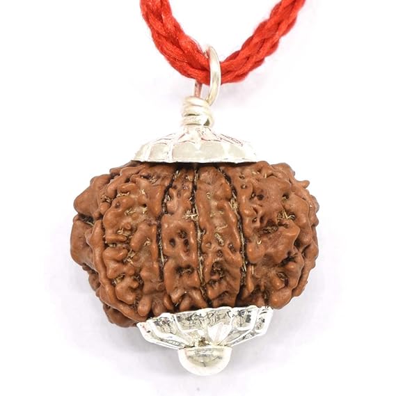10 Mukhi Rudraksh