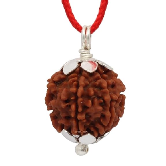 7 Mukhi Rudraksh