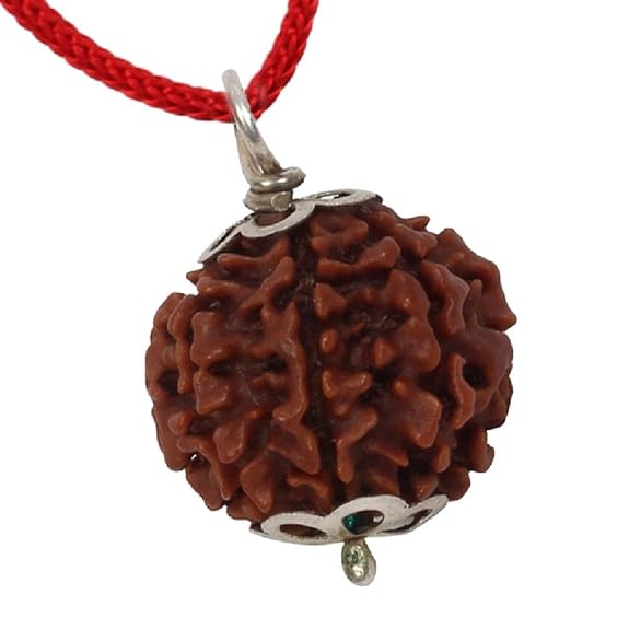 7 Mukhi Rudraksh