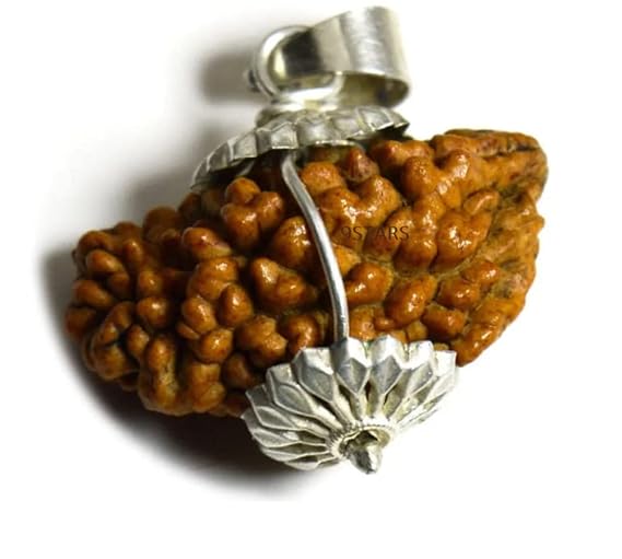 1 Mukhi Rudraksh