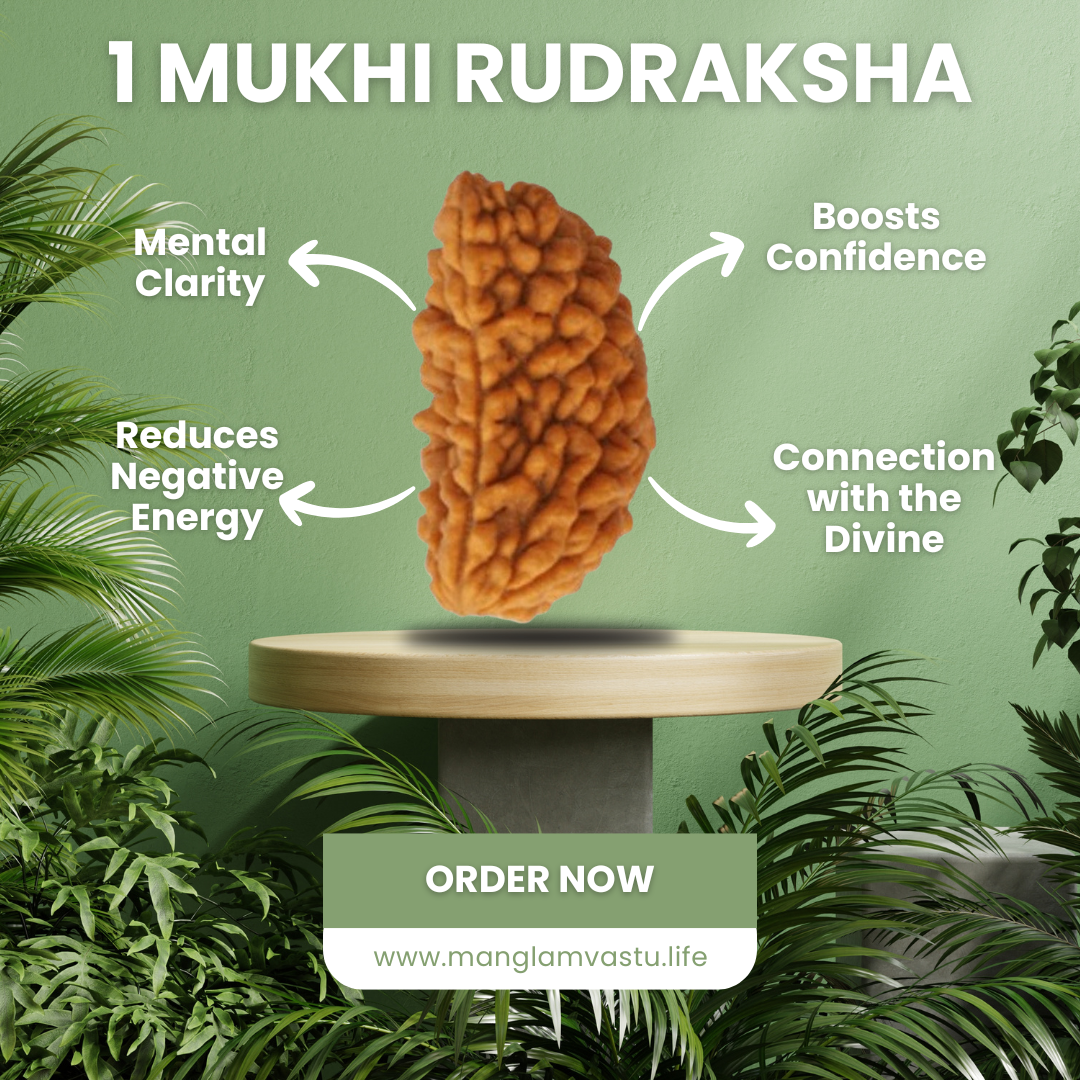 1 Mukhi Rudraksh