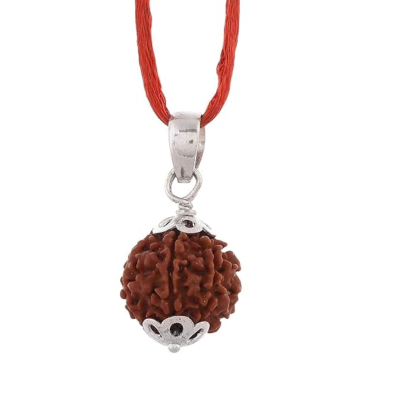 6 Mukhi Rudraksh