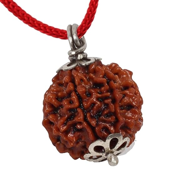 7 Mukhi Rudraksh