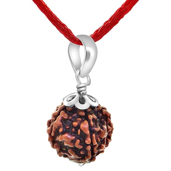 5 Mukhi Rudraksh with silver pendant