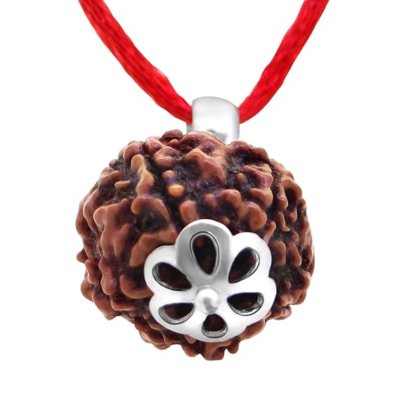 5 Mukhi Rudraksh with silver pendant