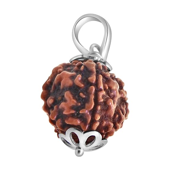5 Mukhi Rudraksh with silver pendant